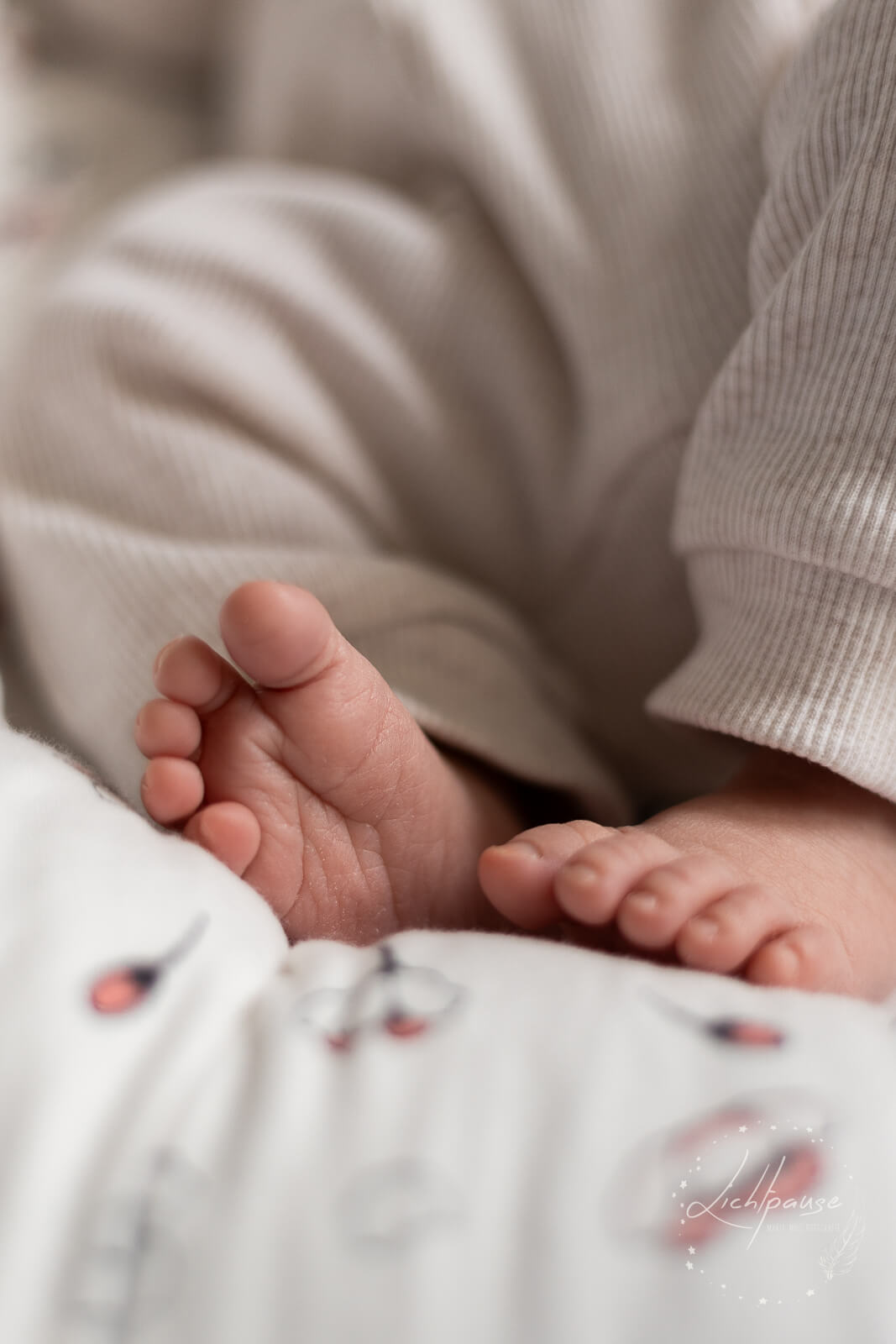 Fotograf Sternberg Babyshooting