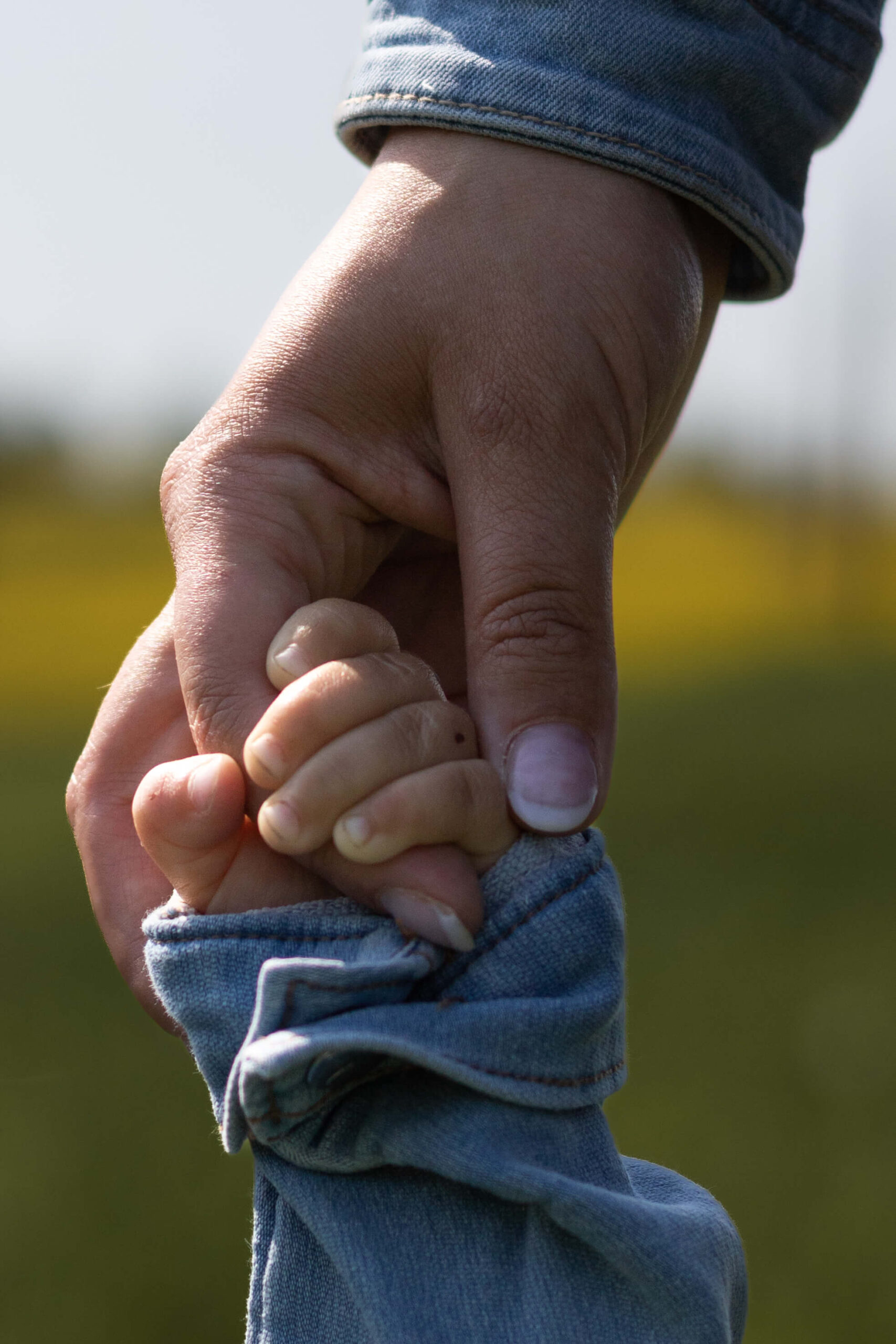 Familienfotograf Sternberg